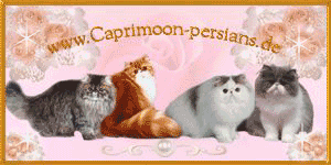 Caprimoon Persians