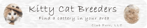 Kitty Cat Breeders Banner